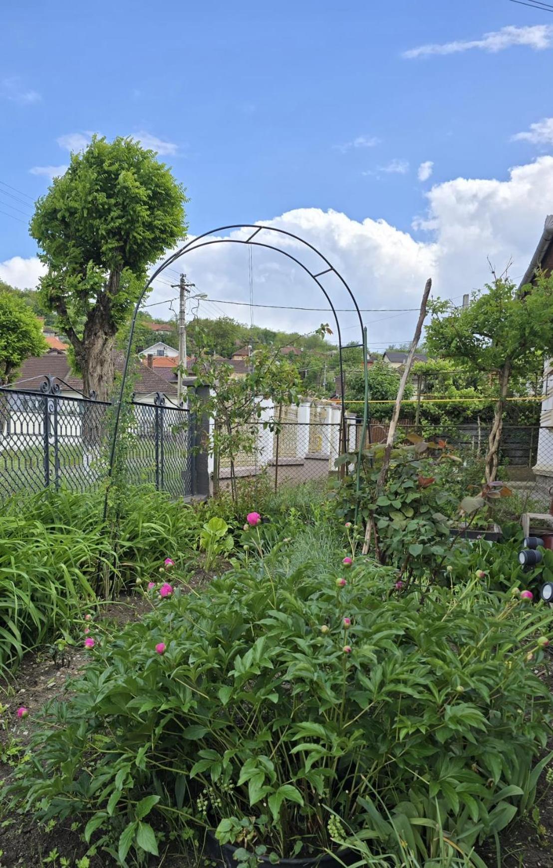 Villa Btp House